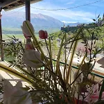 Doda Gjirokastër
